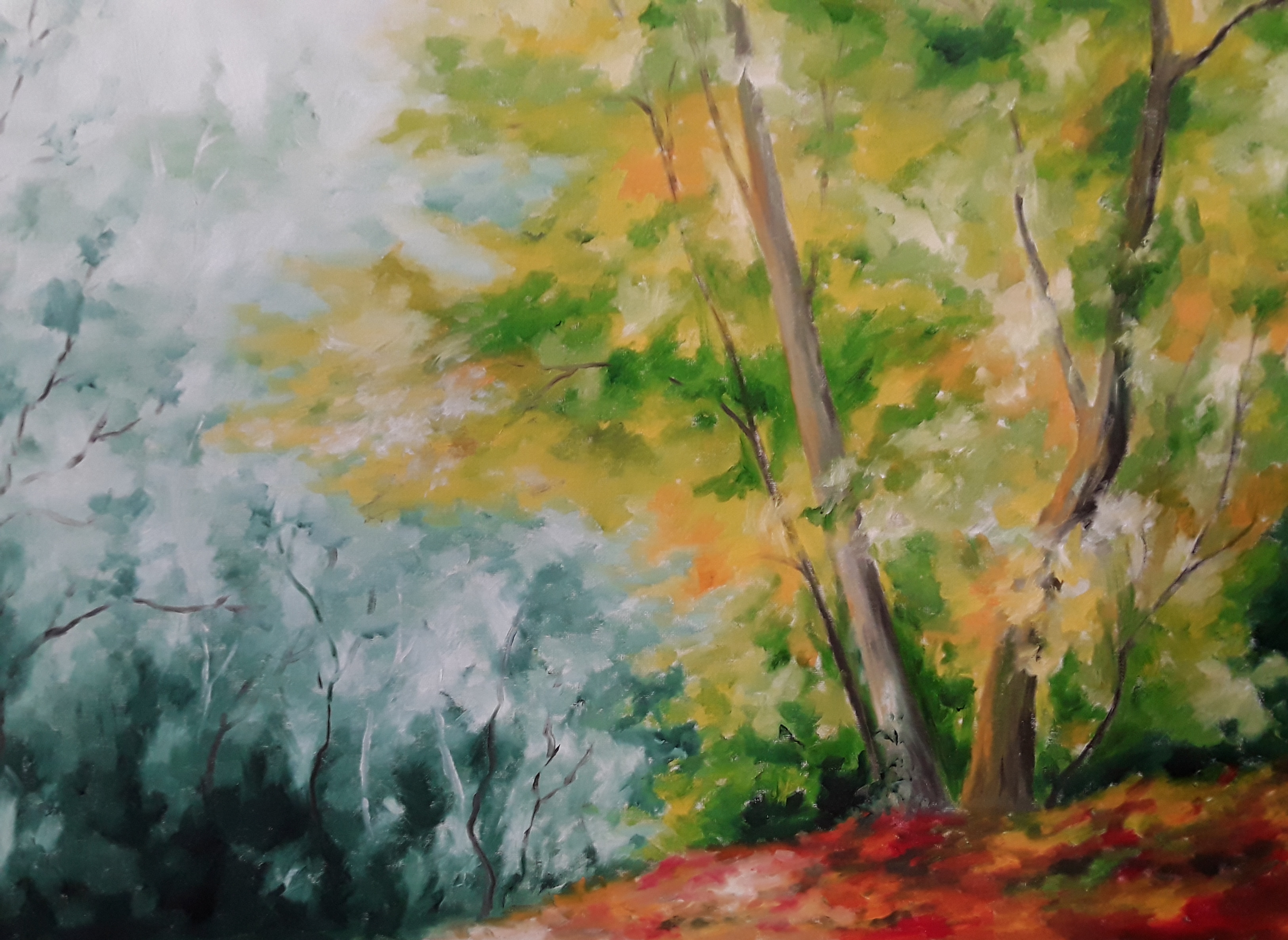 Waldbild 6.jpg